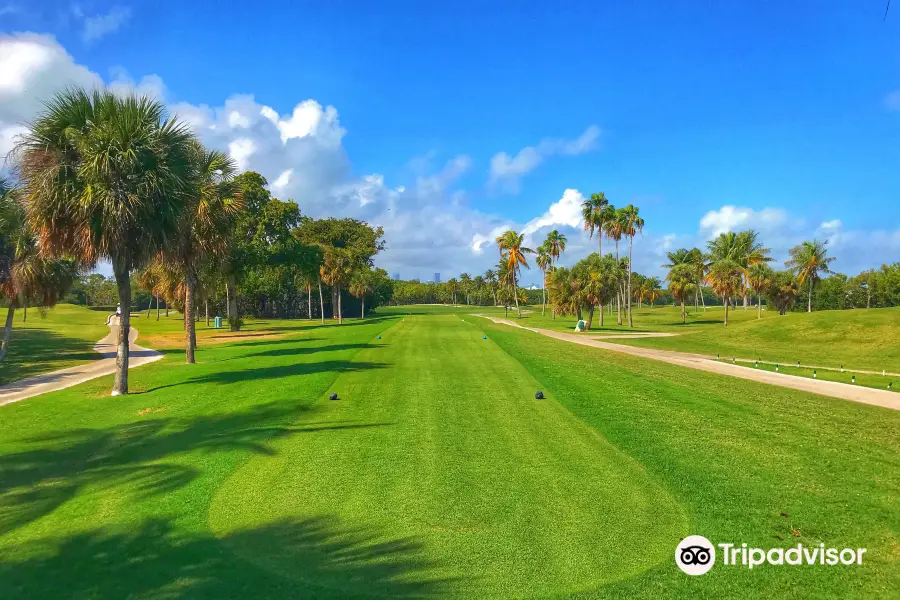 Crandon Golf at Key Biscayne