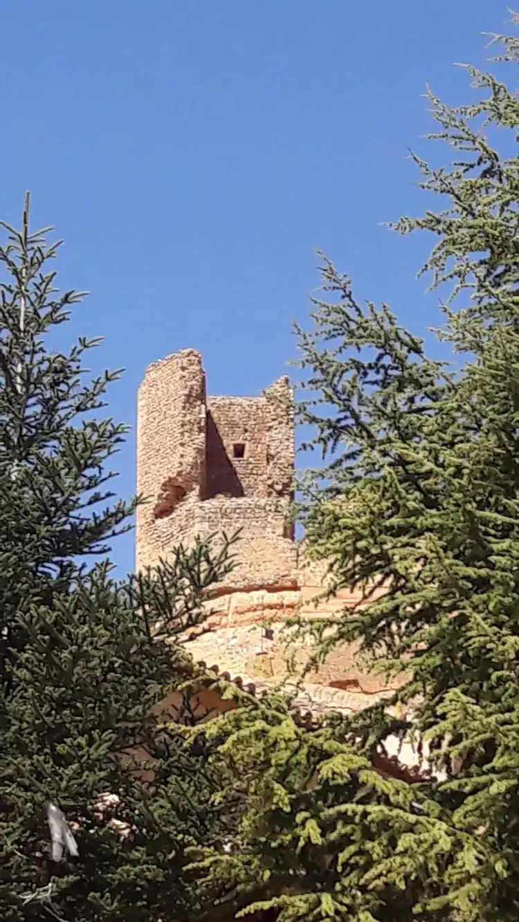 Tierra de Medinaceli 호텔