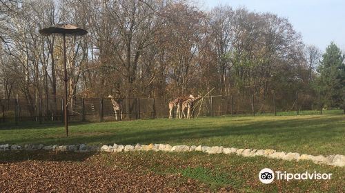 Miejski Ogrod Zoologiczny w Warszawie