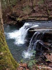 Fiery Gizzard Trail