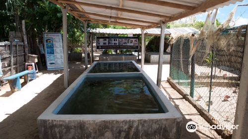 Sea Turtle Hatchery Centre, Mahamodara