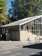 Institut d'art contemporain, Villeurbanne/Rhône-Alpes (IAC)