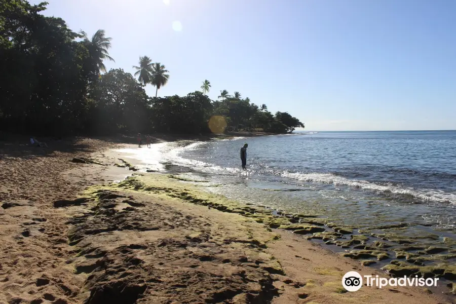 Tres Palmas Marine Reserve