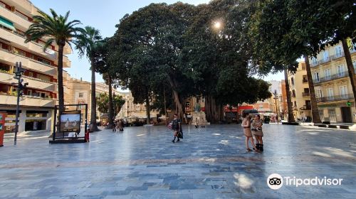 Plaza de San Francisco