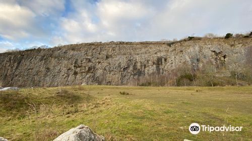 Warton Crag