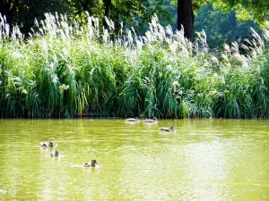 Schlossgarten