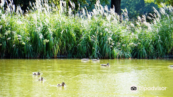 Schlossgarten