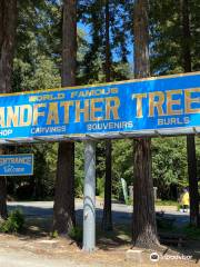 Grandfather Tree Gift Shop