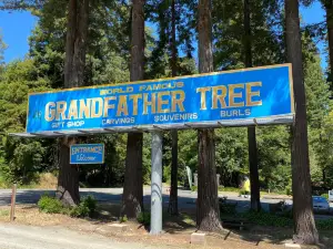 Grandfather Tree Gift Shop