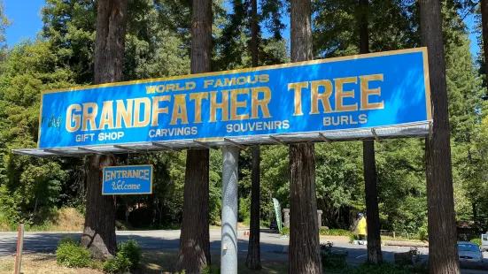 Grandfather Tree Gift Shop