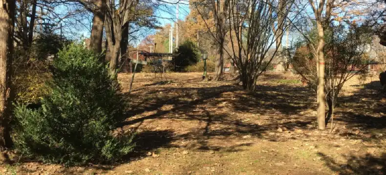 Hotels in Germantown