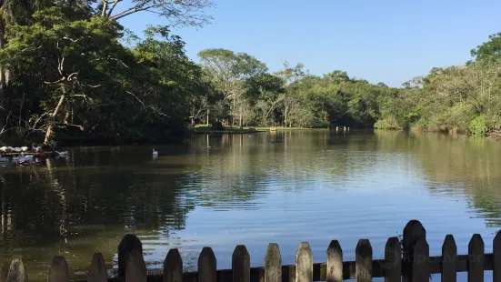 Parque Ecologico Eugenio Walter