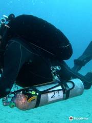 Starfish Diving School