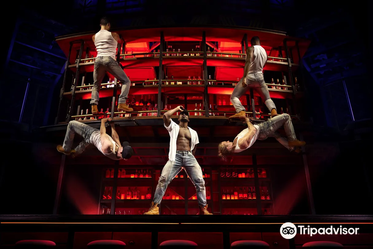 5_Magic Mike Live at SAHARA Las Vegas