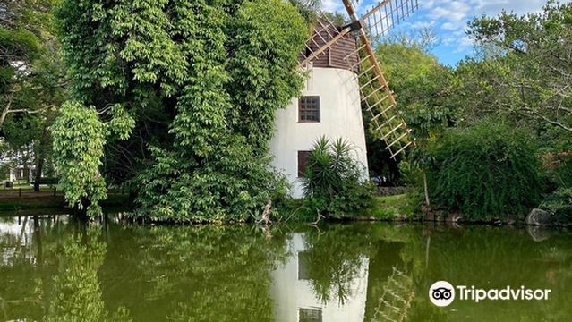 Parque Moinhos De Vento