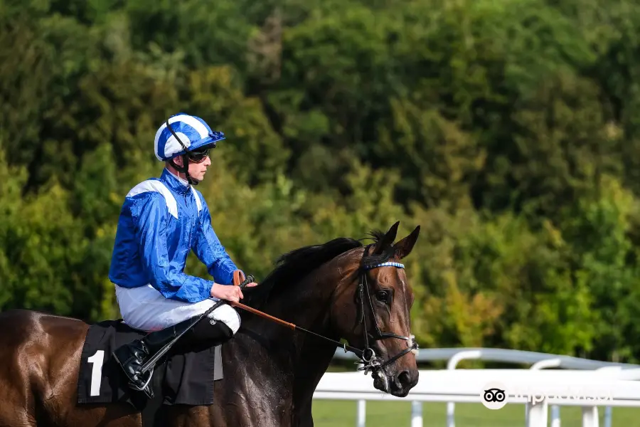 Chelmsford City Racecourse