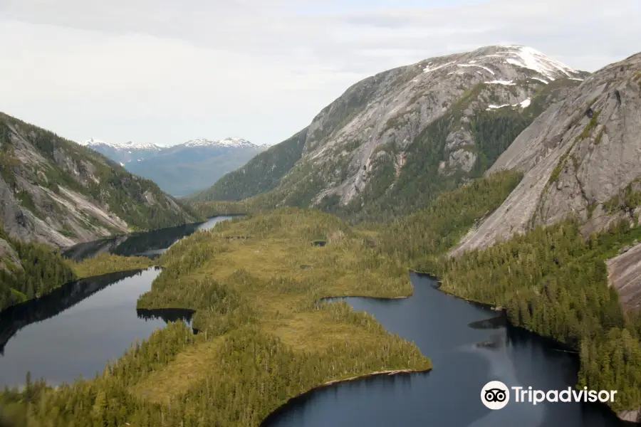 Punchbowl Cove in Misty Fjord National Monument