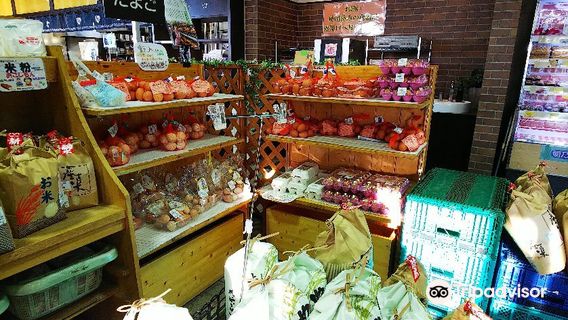 Setomeshi Shokudo Road Station Seto Shinano