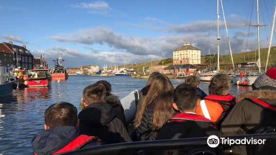 Eyemouth Rib Trips