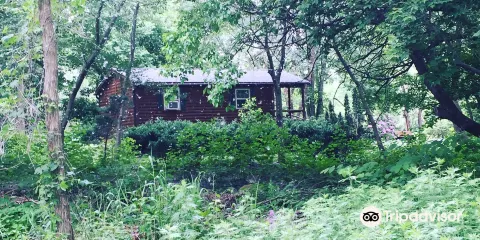 Alley Pond Environmental Center
