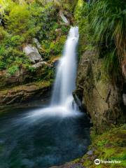 Wainui Falls Track