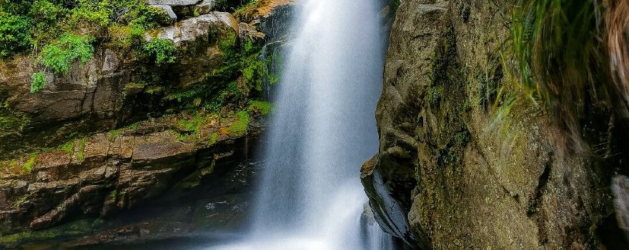 Wainui Falls Track