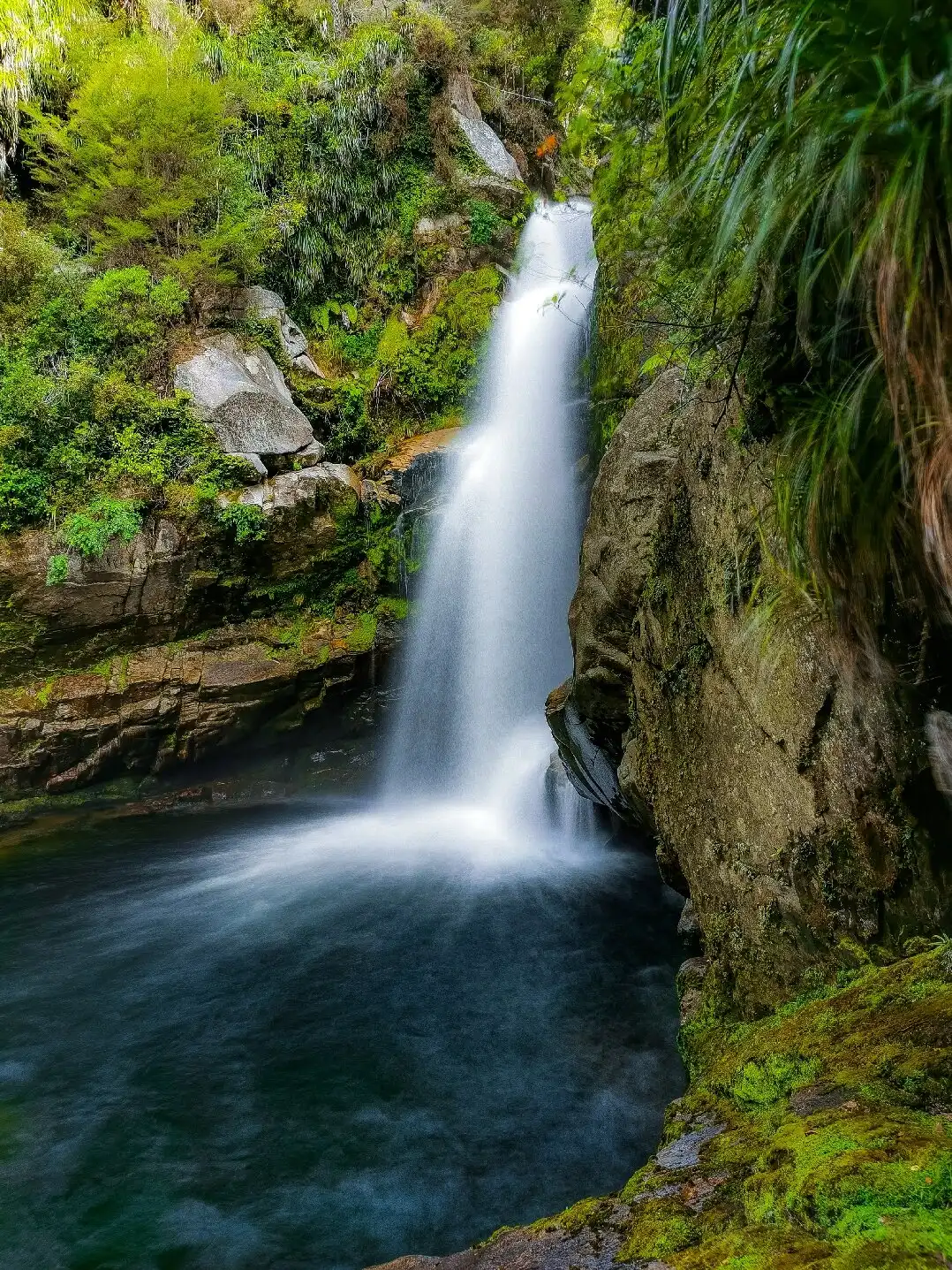 Hotels near Wainui Falls Track