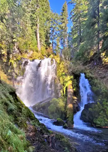 Hotels near National Creek Falls