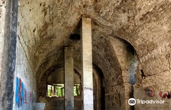 斯拉沃尼亞布羅德