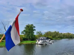 De Zilvermeeuw