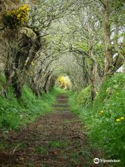 Ballynoe Stone Circle