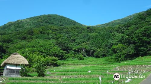 石部の棚田