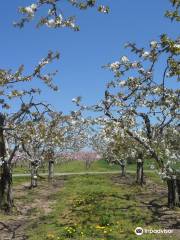 Parkway Orchards