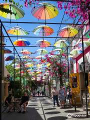 Umbrella Street