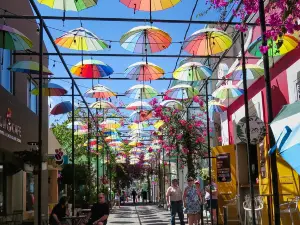 Umbrella Street