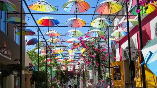 Umbrella Street