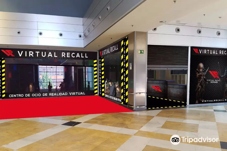 Virtual Recall