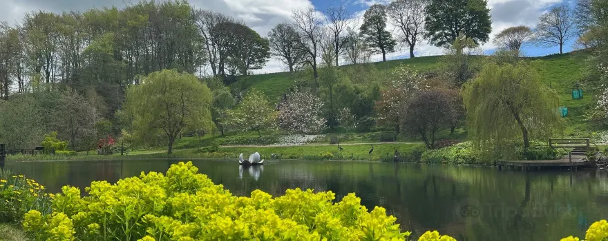 The Himalayan Garden & Sculpture Park