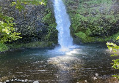 Horsetail Falls- Columbia River Gorge