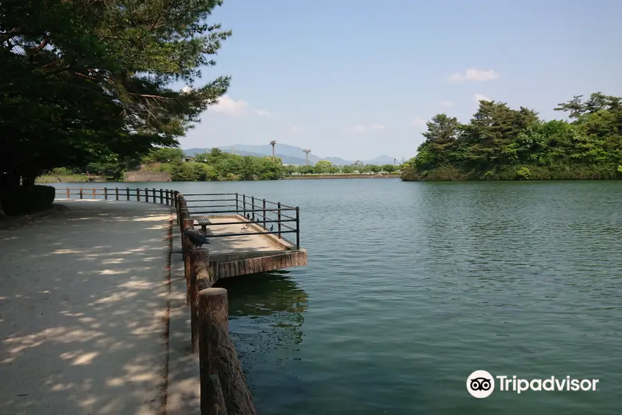 白水大池公園