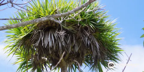 Grand Montagne Nature Reserve