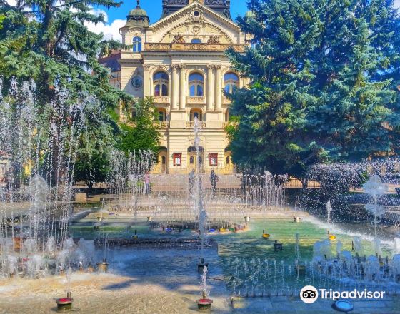 科希策 自由行套票