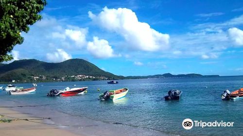 Plage des Salines