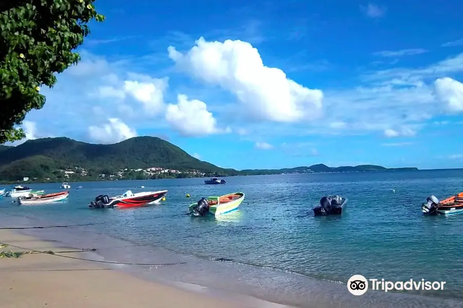 Plage des Salines