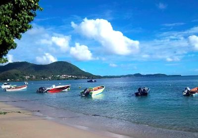 Plage des Salines