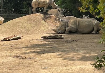 漢密爾頓動物園