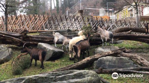 Alpine Zoo Innsbruck