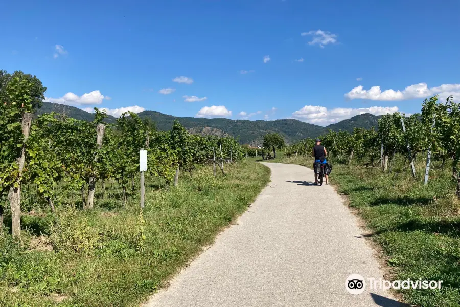 Fahrradladen-Passau