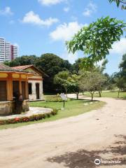 Jardim Botânico - Benjamin Maranhão