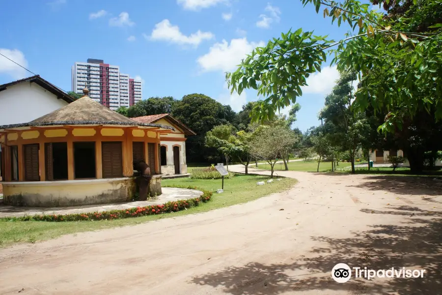 Jardim Botanico de Joao Pessoa Benjamim Maranhao